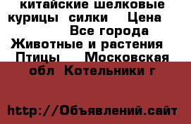 китайские шелковые курицы (силки) › Цена ­ 2 500 - Все города Животные и растения » Птицы   . Московская обл.,Котельники г.